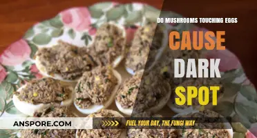 Mushrooms Touching Eggs: Do They Cause Dark Spots?