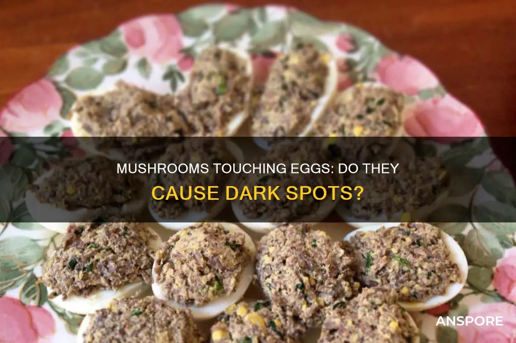 do mushrooms touching eggs cause dark spot