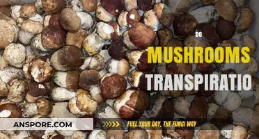 Mushrooms: Transpiration and the Science Behind It