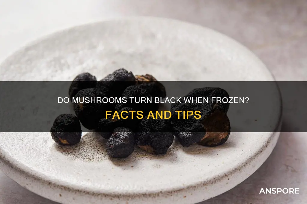 do mushrooms turn black when frozen
