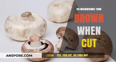 Why Mushrooms Turn Brown When Cut: Science Behind the Color Change