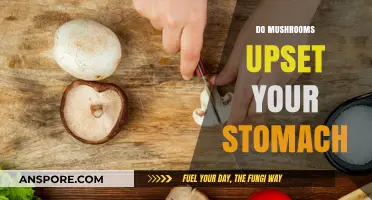 Mushroom Consumption: Upset Stomach or Healthy Gut?
