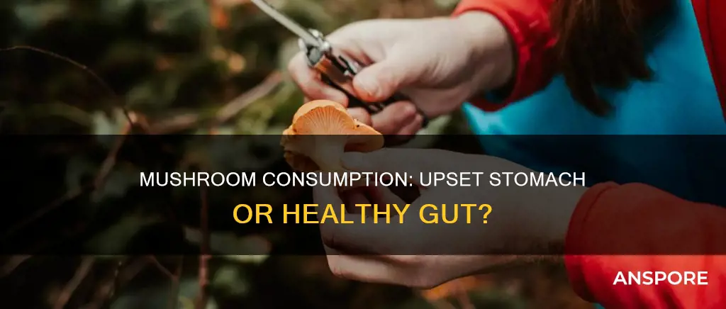 do mushrooms upset your stomach