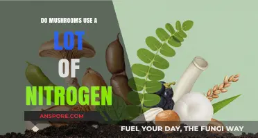 Do Mushrooms Require High Nitrogen Levels for Growth and Health?