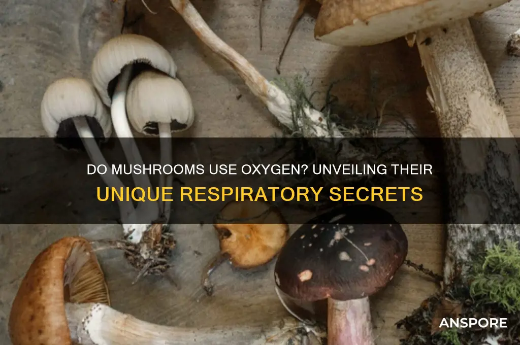 do mushrooms use oxygen