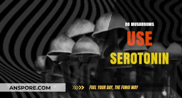 Do Mushrooms Use Serotonin? Unveiling the Fungal Brain Connection