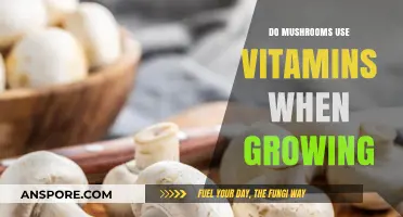 Do Mushrooms Absorb Vitamins During Growth? Unveiling Fungal Nutrition Secrets