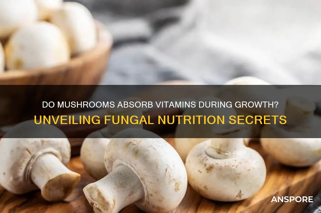 do mushrooms use vitamins when growing