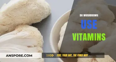 Do Mushrooms Absorb or Produce Vitamins? Unveiling Their Nutritional Secrets