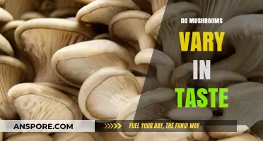 Mushroom Taste: A World of Flavor
