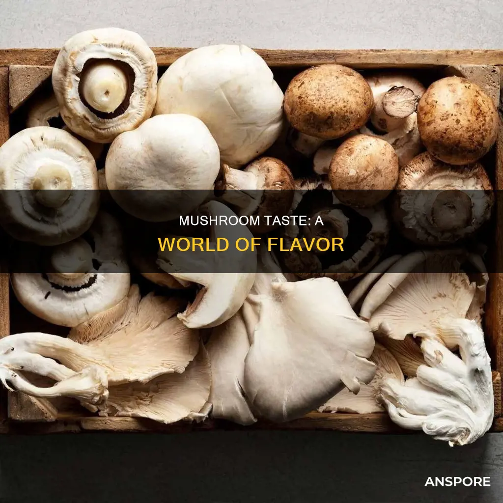 do mushrooms vary in taste