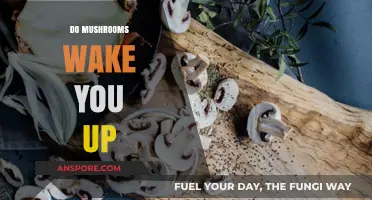 Mushrooms: Nature's Wake-Up Call or Sleepytime Tea?