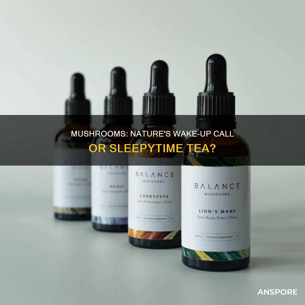 do mushrooms wake you up