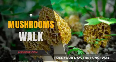 Mushrooms: Nature's Little Walkers?
