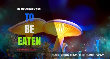 Do Mushrooms Want to Be Eaten? Exploring Fungal Consciousness and Survival