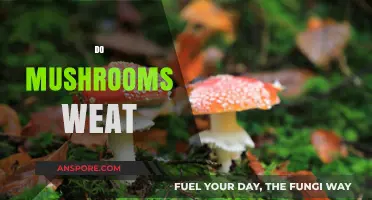 Mushrooms: Do They Really Need Water?
