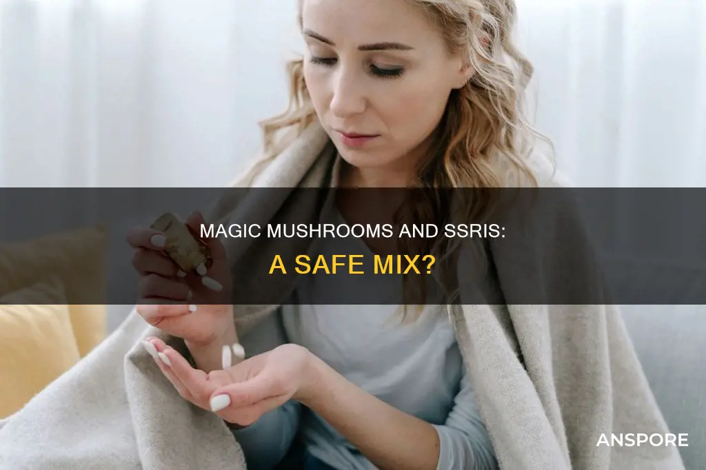 do mushrooms work on ssri