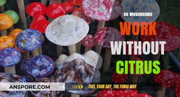 Citrus-Free Magic Mushrooms: Do They Work?