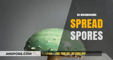 How Mushrooms Disperse Spores: The Science Behind Their Spread