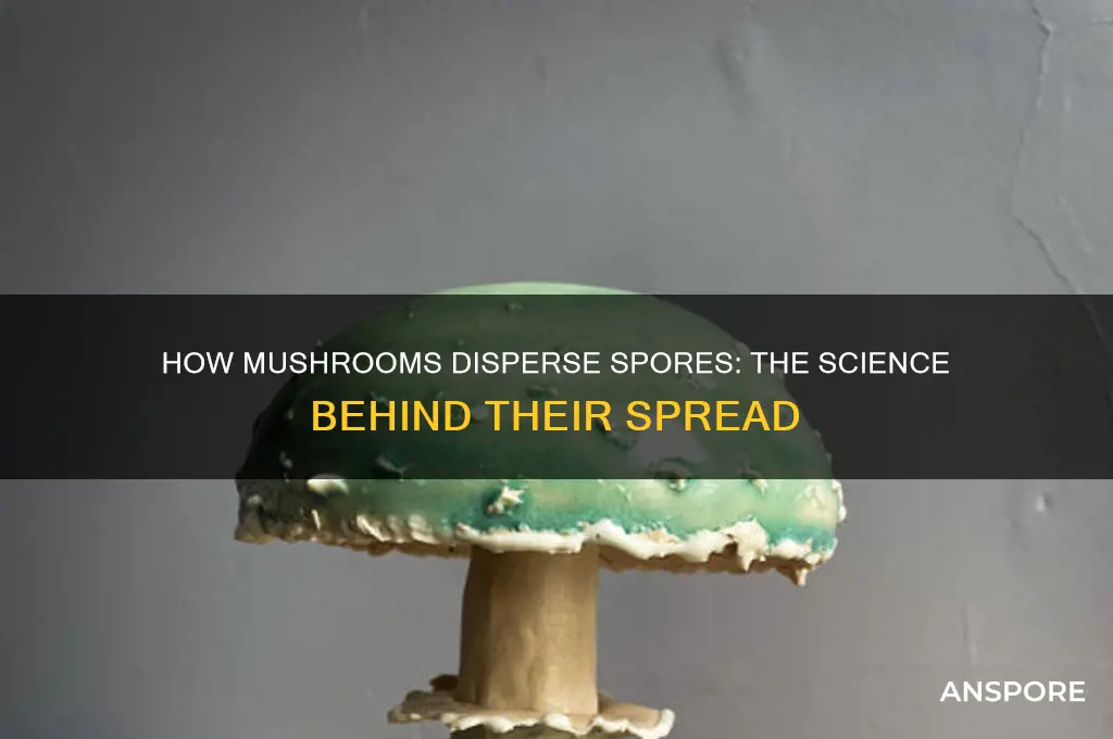 do mushroooms spread spores