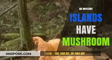 Mystery Islands: Where to Find Mushrooms