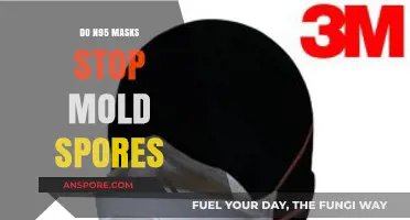 Can N95 Masks Effectively Block Mold Spores? What You Need to Know