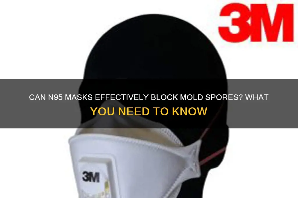 do n95 masks stop mold spores