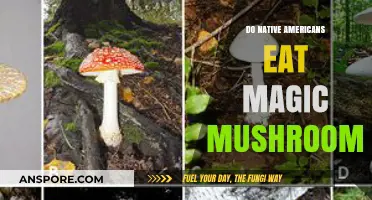 Exploring Native American Traditions: Magic Mushrooms in Cultural Practices