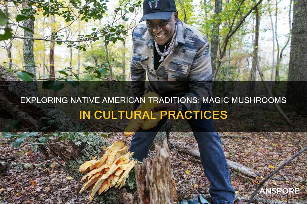 do native americans eat magic mushrooms