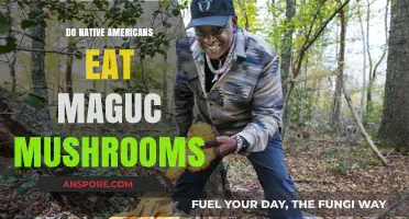 Exploring Native American Traditions: Magic Mushrooms and Cultural Practices