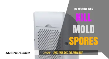 Negative Ions and Mold: Can They Eliminate Harmful Spores?