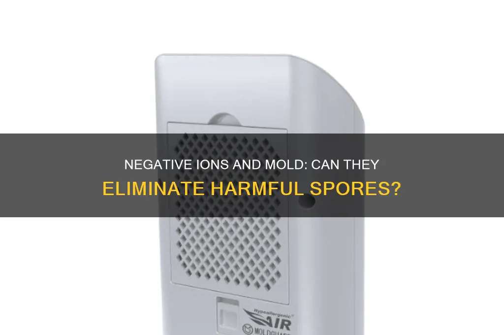 do negative ions kill mold spores