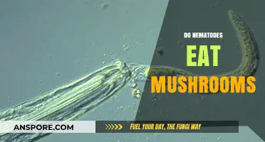 Do Nematodes Eat Mushrooms? Exploring Their Diet and Interactions