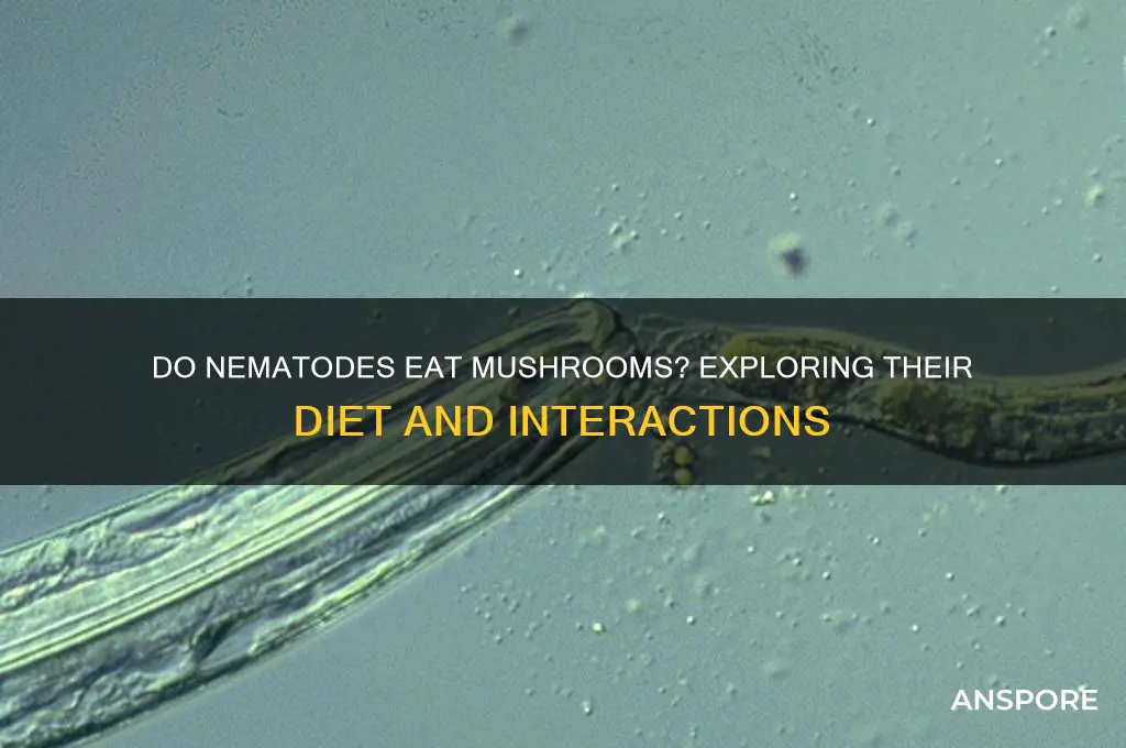 do nematodes eat mushrooms