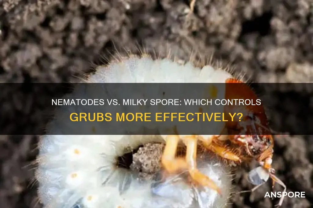 do nematodes or milky spore do a good job
