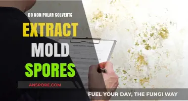 Non-Polar Solvents: Effective for Extracting Mold Spores?