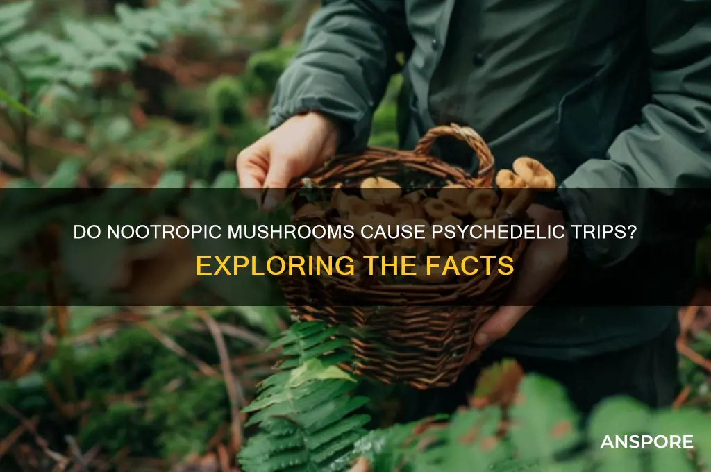 do nootropic mushrooms make you trip