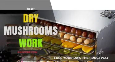 Why Dried Mushrooms Are Worthless