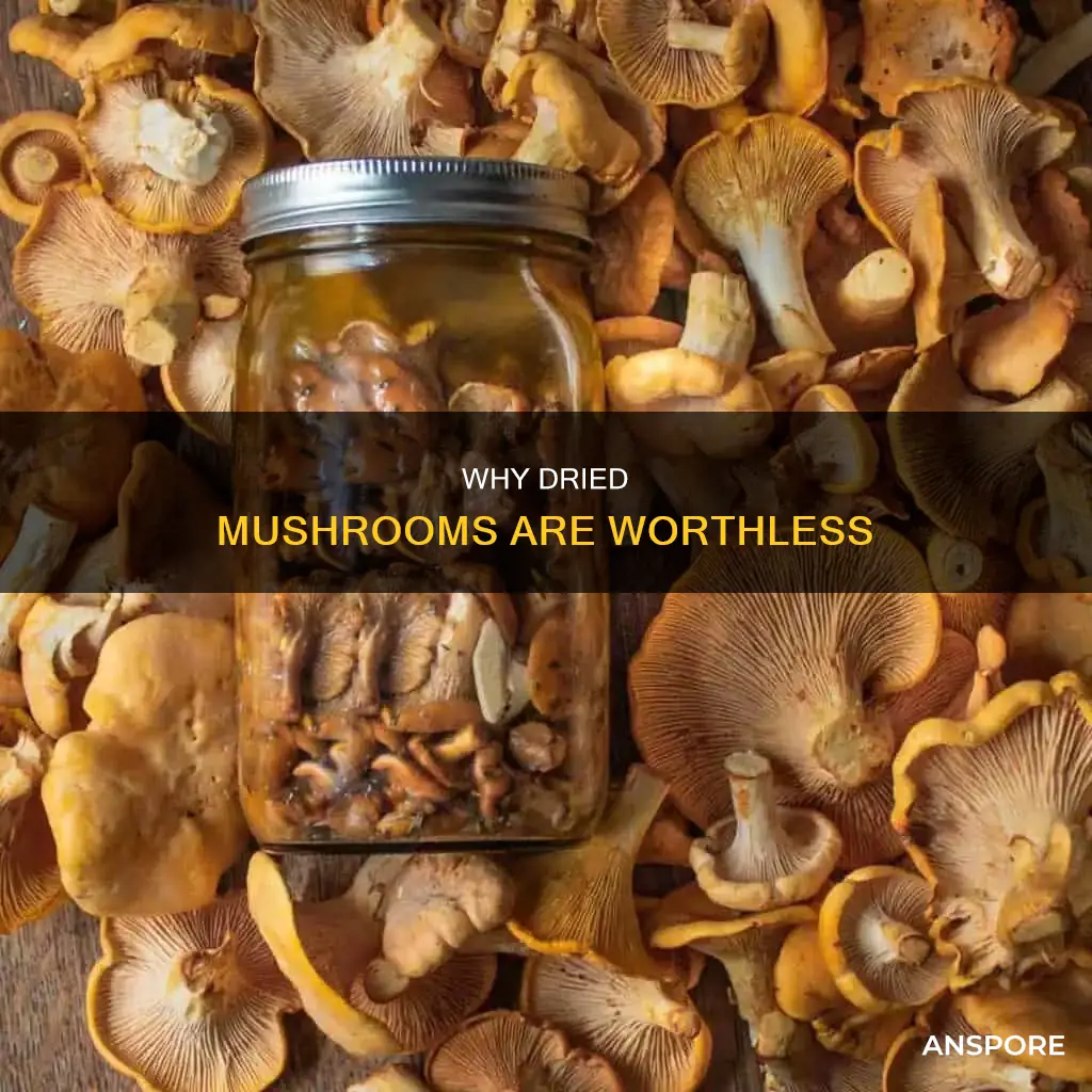 do not dry mushrooms work