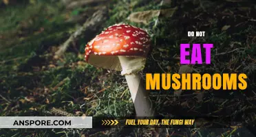 Avoid the Risks: Why You Should Never Eat Wild Mushrooms