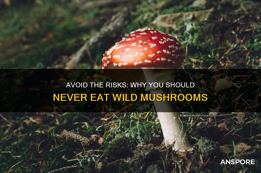 do not eat mushrooms