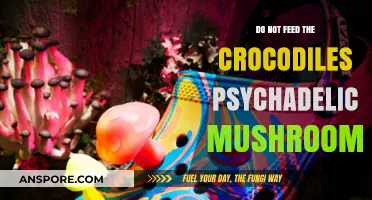 Avoid Trippy Crocs: Why Psychedelic Mushrooms Are a Dangerous Snack