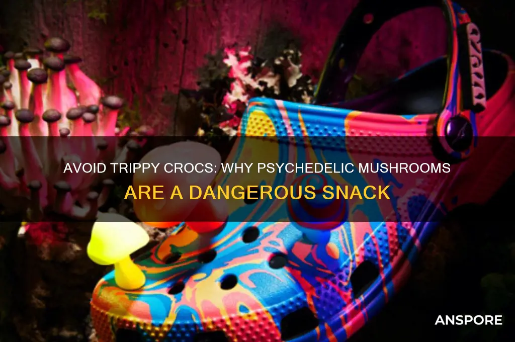 do not feed the crocodiles psychadelic mushrooms