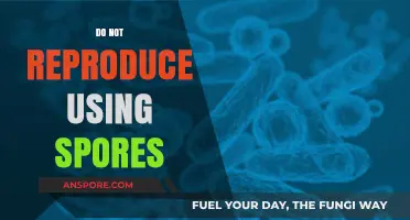 Avoid Spore Reproduction: Essential Tips for Healthy Plant Propagation