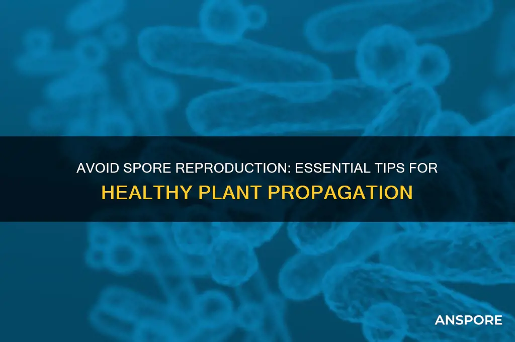 do not reproduce using spores