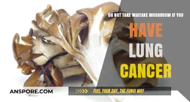 Avoid Maitake Mushroom: Potential Risks for Lung Cancer Patients Explained