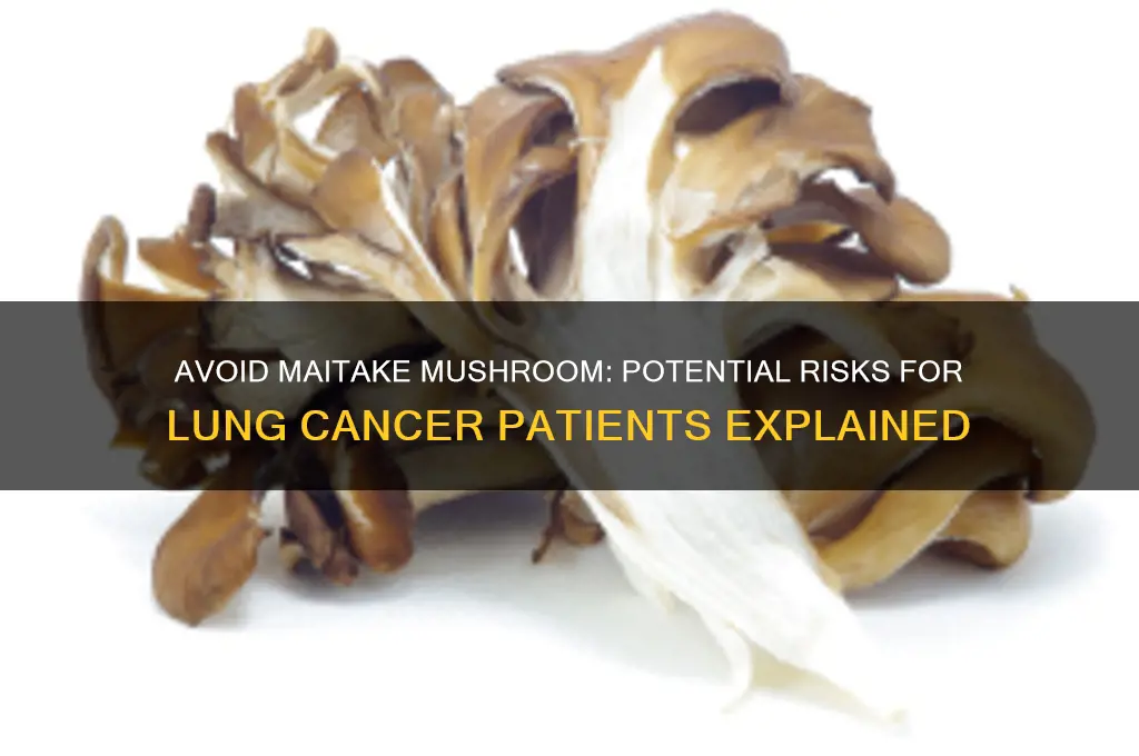do not take maitake mushroom if you have lung cancer