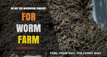 Avoid Mushroom Compost: Why It Harms Your Worm Farm Ecosystem