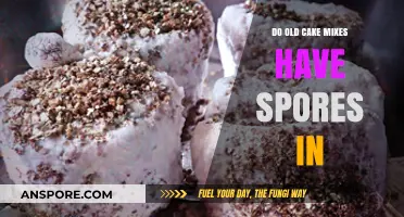 Do Old Cake Mixes Contain Spores? Uncovering the Truth