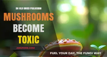 Aging Psilocybin Mushrooms: Do Dried Varieties Turn Toxic Over Time?